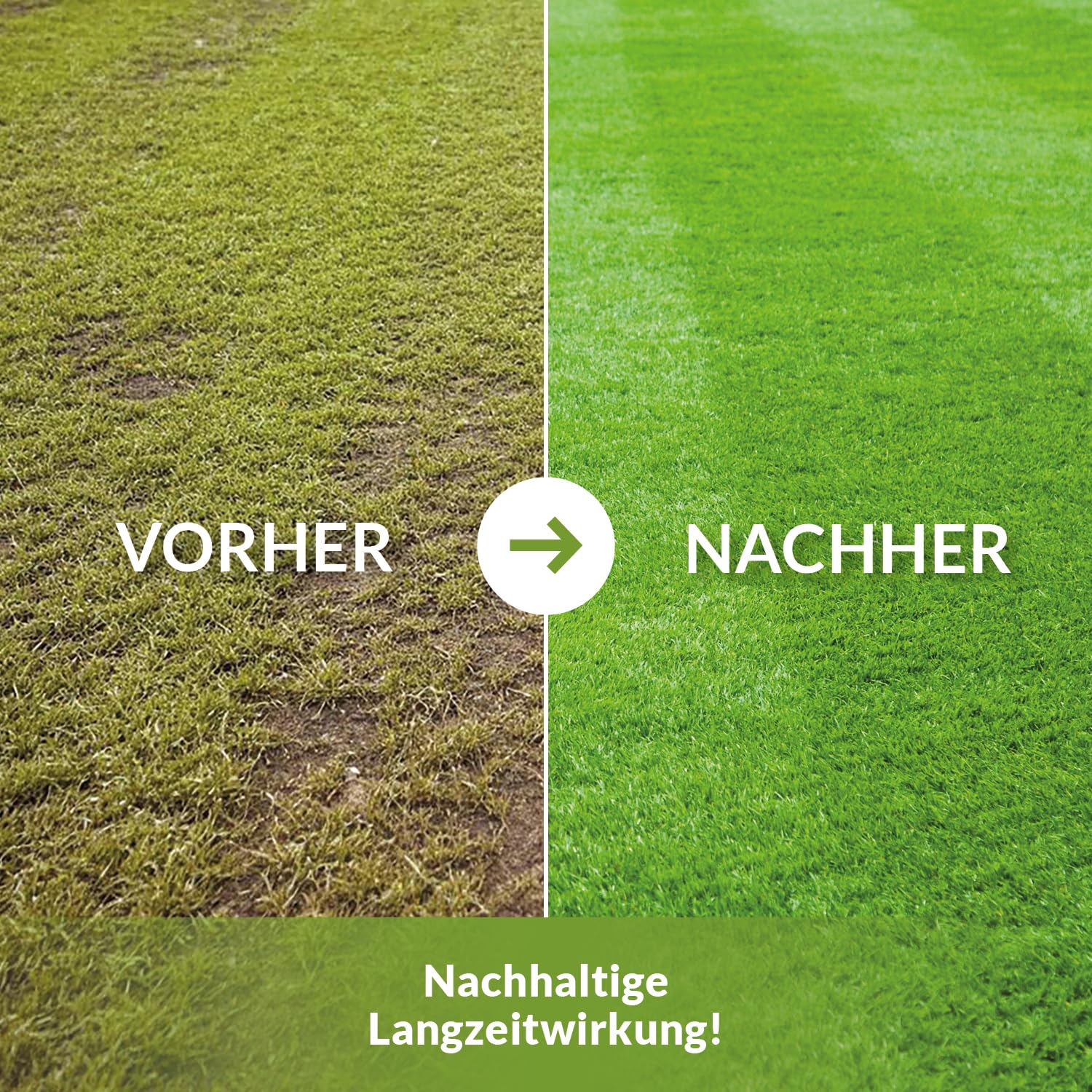 TerraDomi Rasenkalk & Gartenkalk 24kg | Beugt Moos & Pilzen vor | Zur Erhöhung des pH-Wertes saurer Böden | Für einen gesunden Rasen I Intensiviert die Düngung | Für 480m²