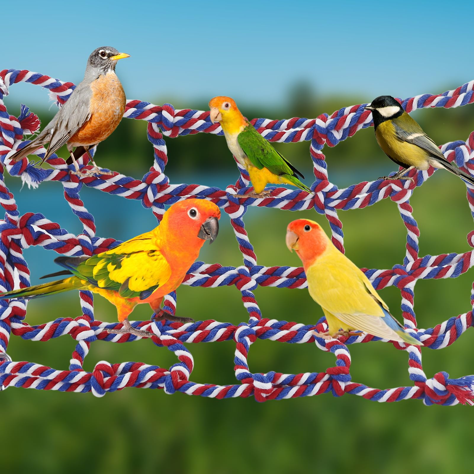 Buntes Rattenkäfig-Zubehör mit 8 Slackline, gewebtes Kletternetz, Haustier-Hängematte, Netz, Spielzeug, Hängemattennetz mit 4 Haken, Kleintierbedarf, Seilleiter für Papageien, Vögel, Hamster,