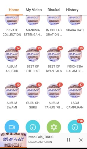 Iwan Fals Music