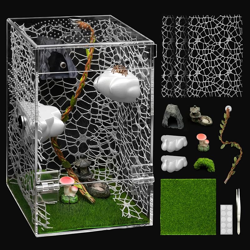 Terrário para Aranha-Saltadora em Acrílico Transparente AZV com Porta Magnética e Acessórios AJPSKitClouds-02