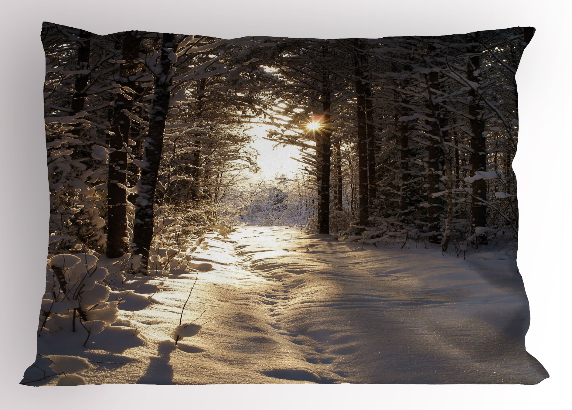 Ambesonne Winter Pillow Sham, Christmas Season with Snow and Forest Sun Rays Very Cold Woods Scenery, Decorative Standard Size Printed Pillowcase, 26