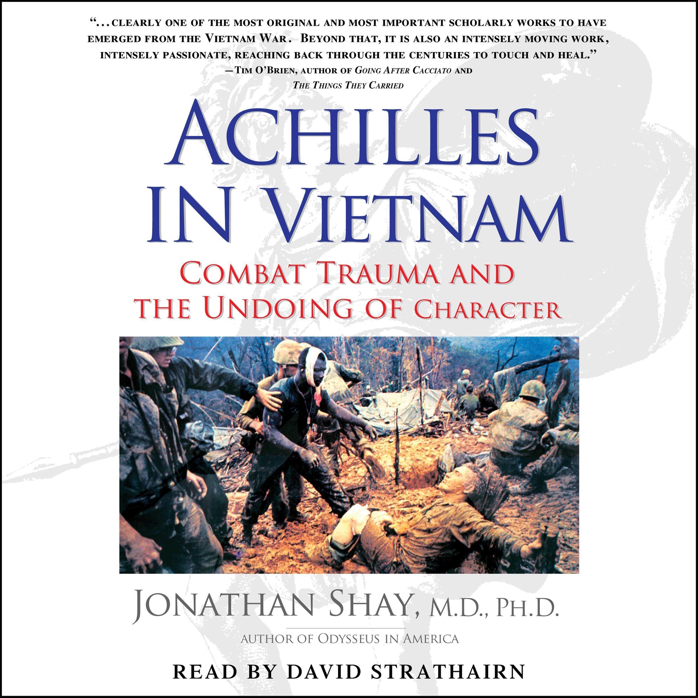 Cover art for Achilles in Vietnam