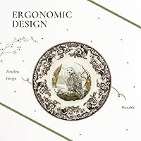 Vista 6 de Spode Woodland Snowy Owl Dinner Plate – Birds of Prey Collection, 10.5 Inch Fine Earthenware, Made in England – Rustic Bird Motif Dinnerware