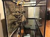 Review Image by Mikegezz Mikegezz