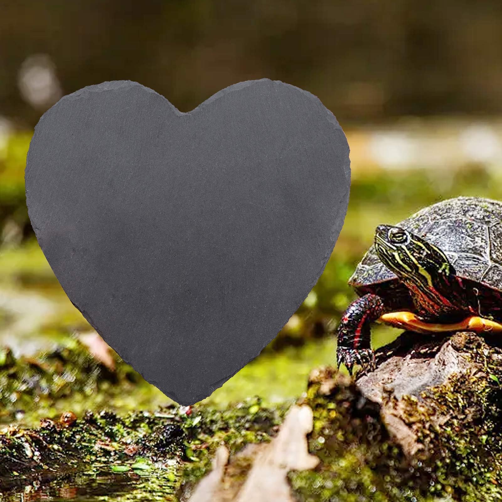 Dnoifne Reptile Basking Platform - 20 × 20 cm Heart-Shaped Natural Rock Feeding Dish - Image 4