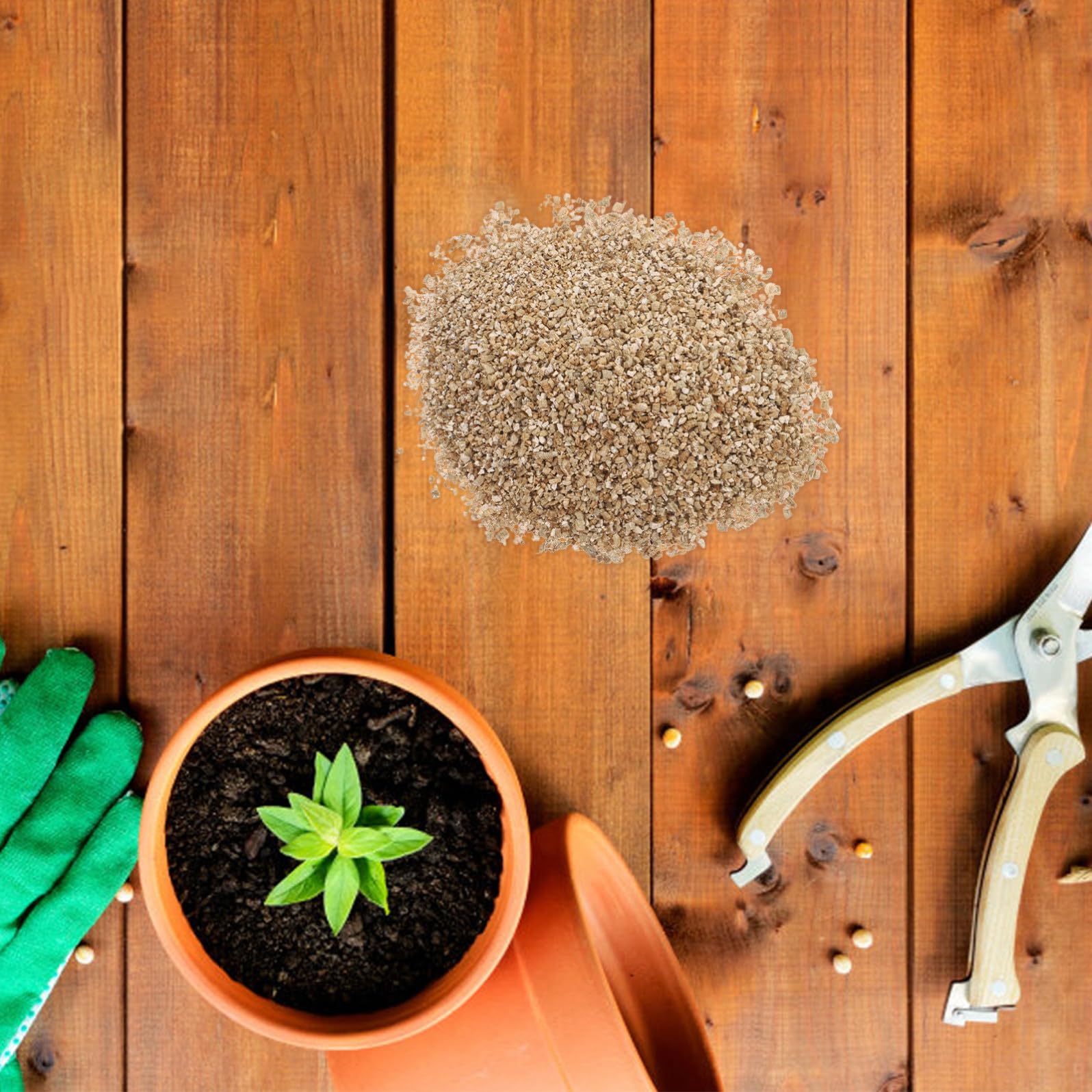 Homoyoyo Vermiculite Orticola 3l PH Neutro e Ritenzione Idrica per Piante da Interno e Animali da Terrario in Giardino Domestico