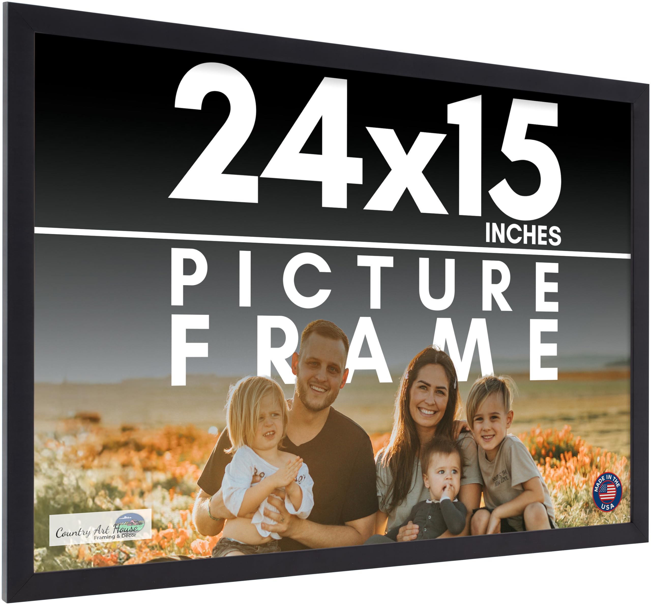 Amazon.com - 24x15 Frame Black Picture Frame - Complete Modern