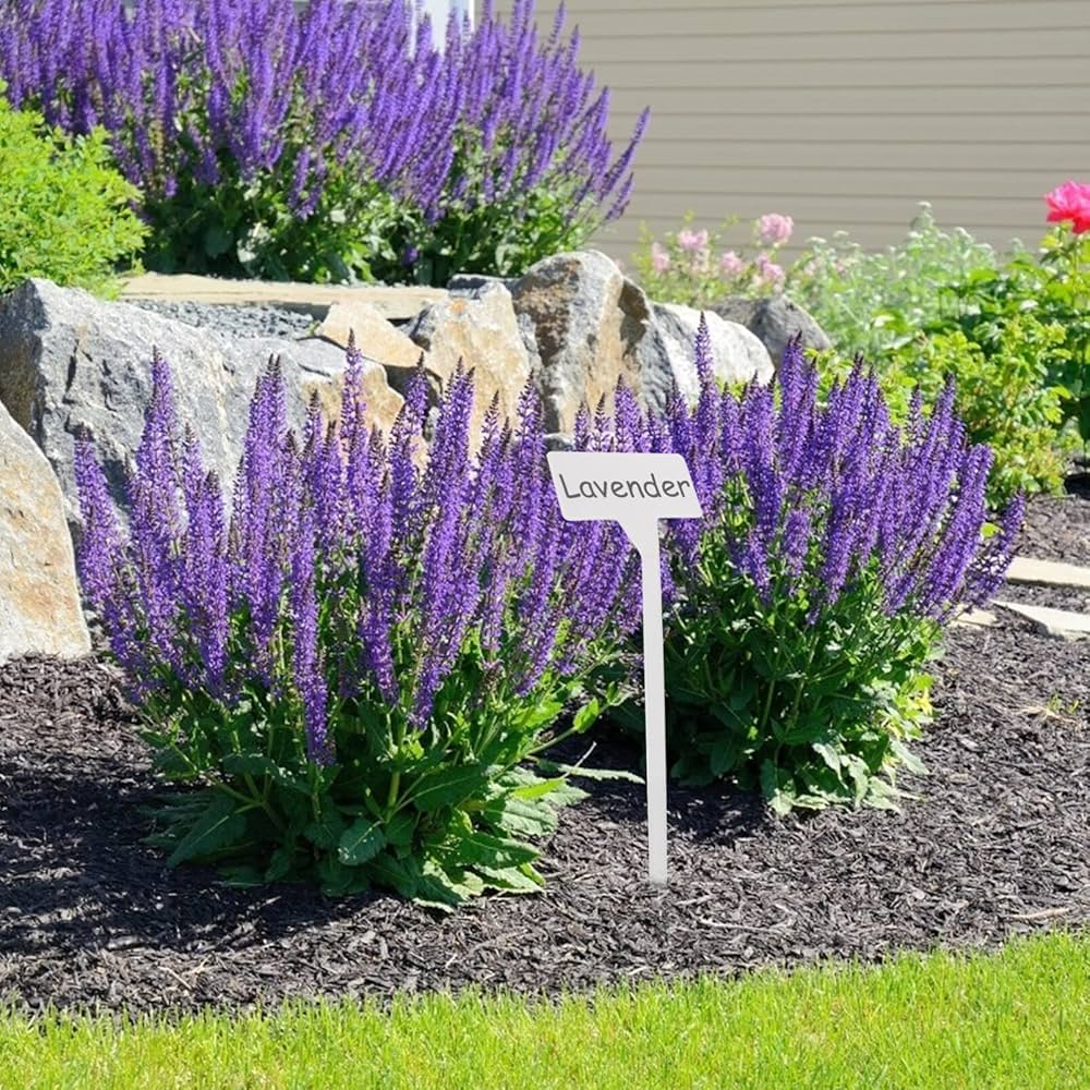 (新品)VALIEM ターンテーブル　ビッグプランツタグ　パロサント　3点セット 新品)VALIEM ターンテーブル ビッグプランツタグ パロサント 3点