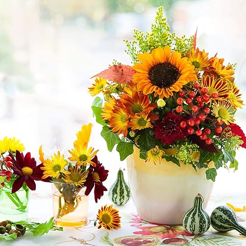 Miniatura 3 de Semillas de caléndula - Serie Inca II - Mezcla - Paquete de 25 semillas - Tagetes erecta - Sin OMG, polinizado abierto - Jardinería de flores