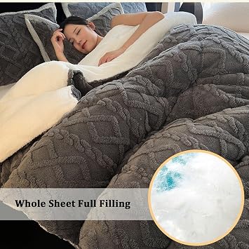 Warm Thicke Lambswool Quilt Core - Oversized King Sherpa Comforter Full Size Winter Thickened Double Sided Fluffy Lamb Fleece Quilt Blanket(D,200 * 230cm/4.0kg)