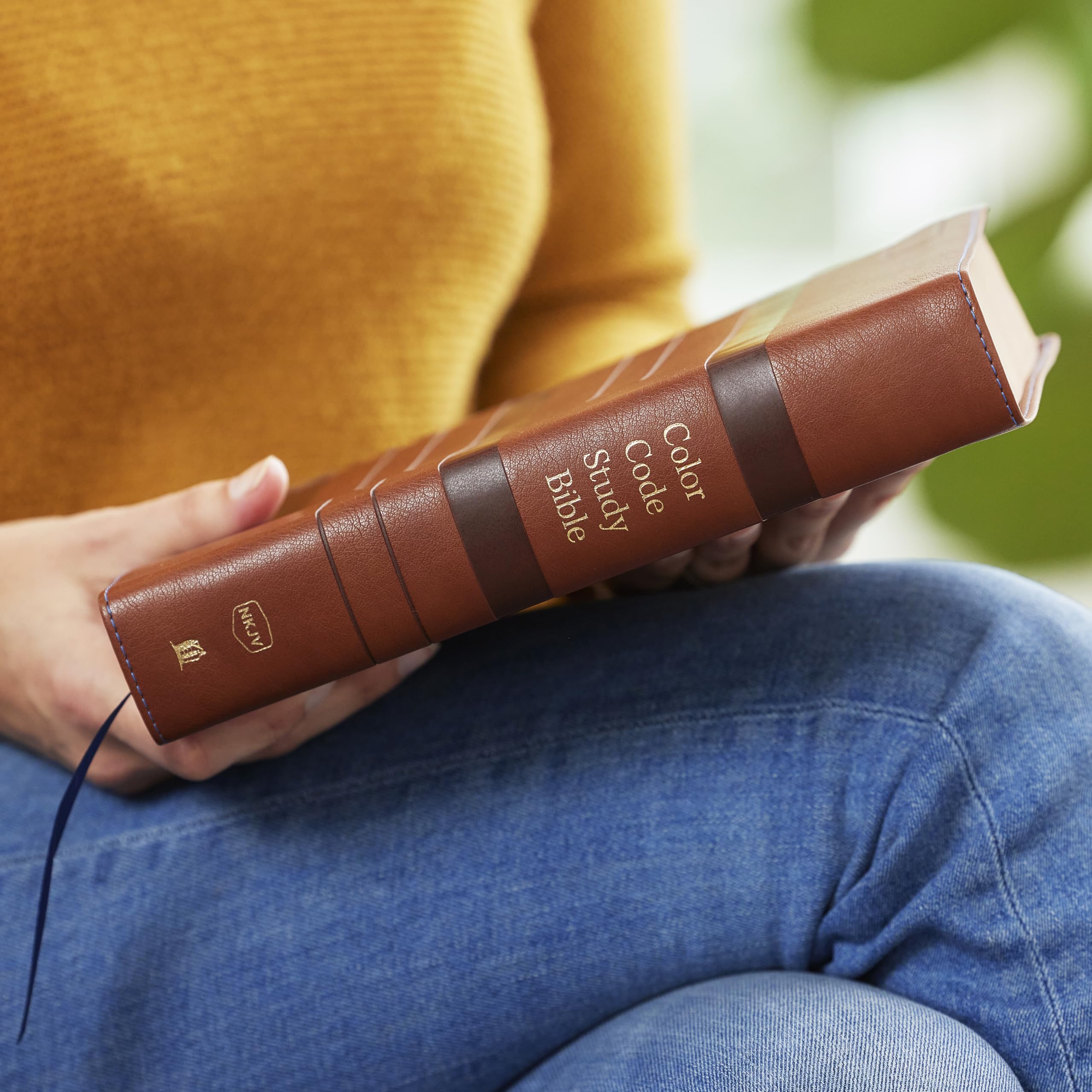 Color Code Study Bible, Revealing God's Truth Color by Color: Nkjv, Brown Leathersoft, Red Letter