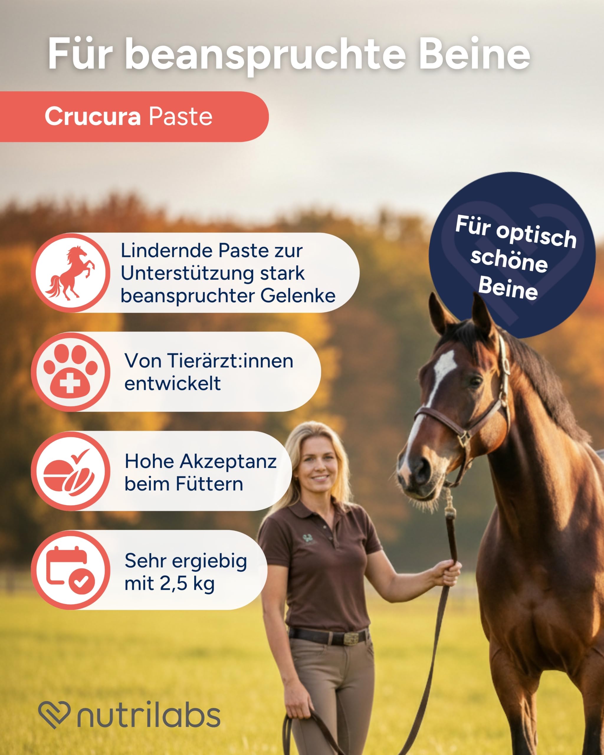 NutriLabs Crucura Gelenk-Paste für Pferde 2,5 kg - mit Bentonit, Kaolin & Galmei - Pferde Gelenkcreme - Creme für Gelenke - Gelenknahrung für Pferde
