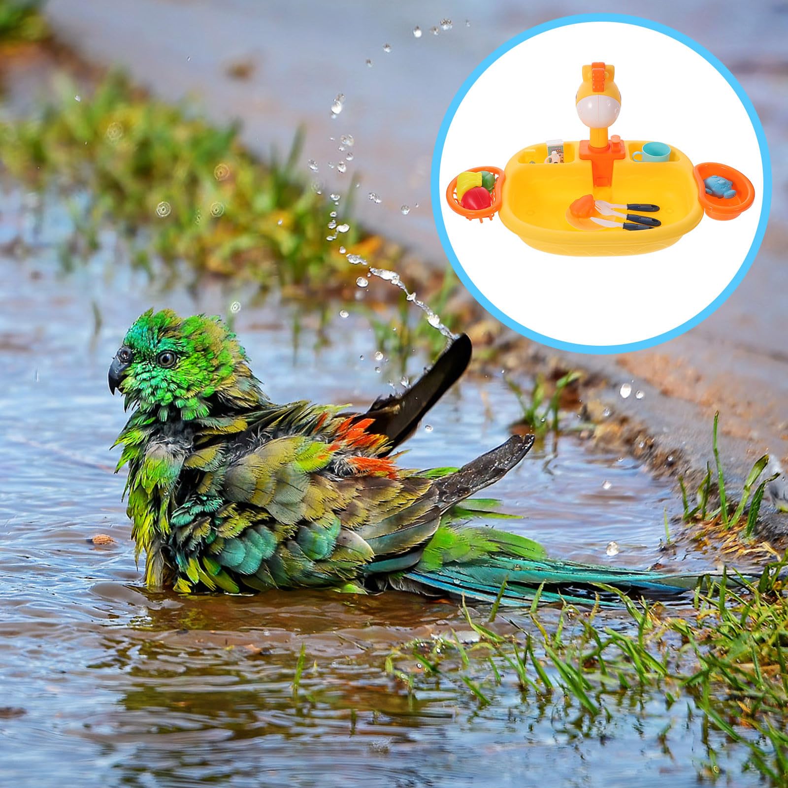 Vasca da Bagno Automatica per Uccelli in Plastico Arancia Doccia Pompa Integrata Multifunzionale per Bagno degli Uccelli in Gabbia