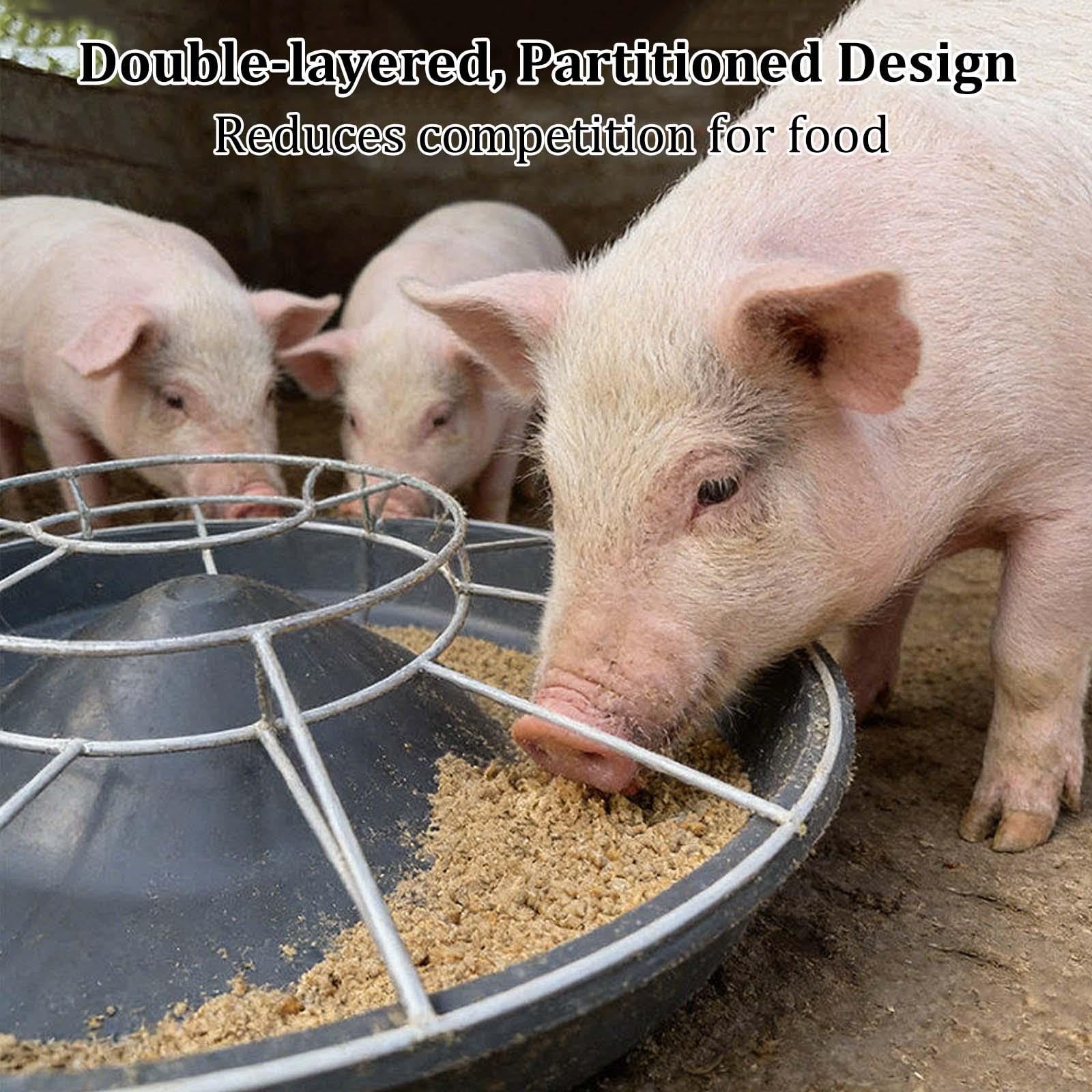 Mangiatoia per suini e altri animali da allevamento, mangiatoia not-spreco
