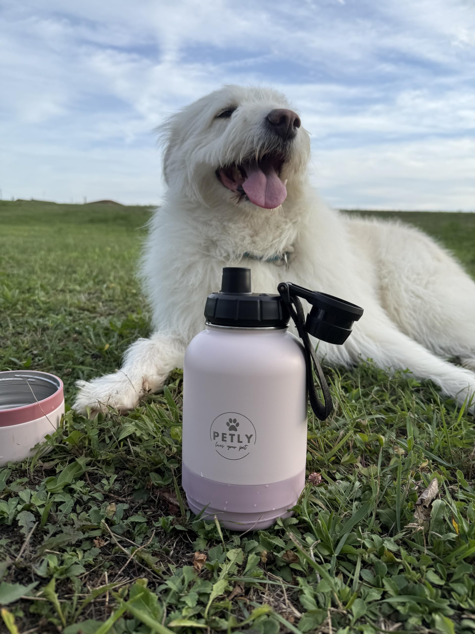 Bottiglia Portatile per Animali da Viaggio, Per Cani da Viaggio, Borraccia per Acqua e Cibo, Bottiglia da Viaggio con Doppio Scomparto Acqua e Cibo 1000 ml (Rose, L)