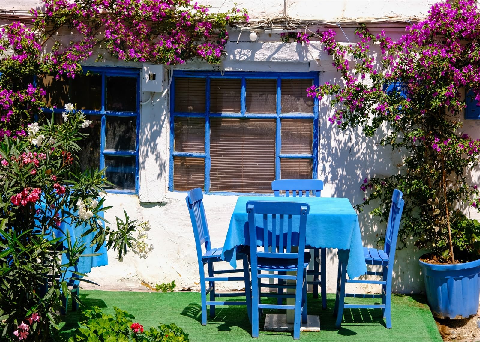 20x10FT (6x3m) Patio Blu Con Fiori Sfondo Fotografico