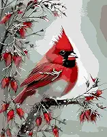 Eiazuiks Pintura de Natal por número para adultos. Pintura por números para adultos Pintura de desenho iniciante com 3 pincéis, pintura a óleo, 40,6 x 50,8 cm