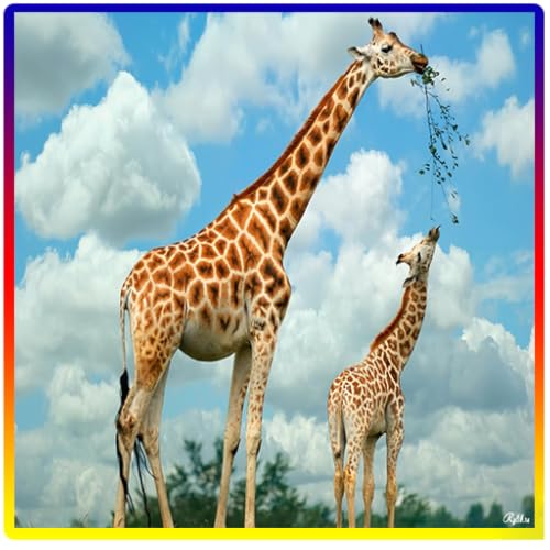 Largest Zoos in the World