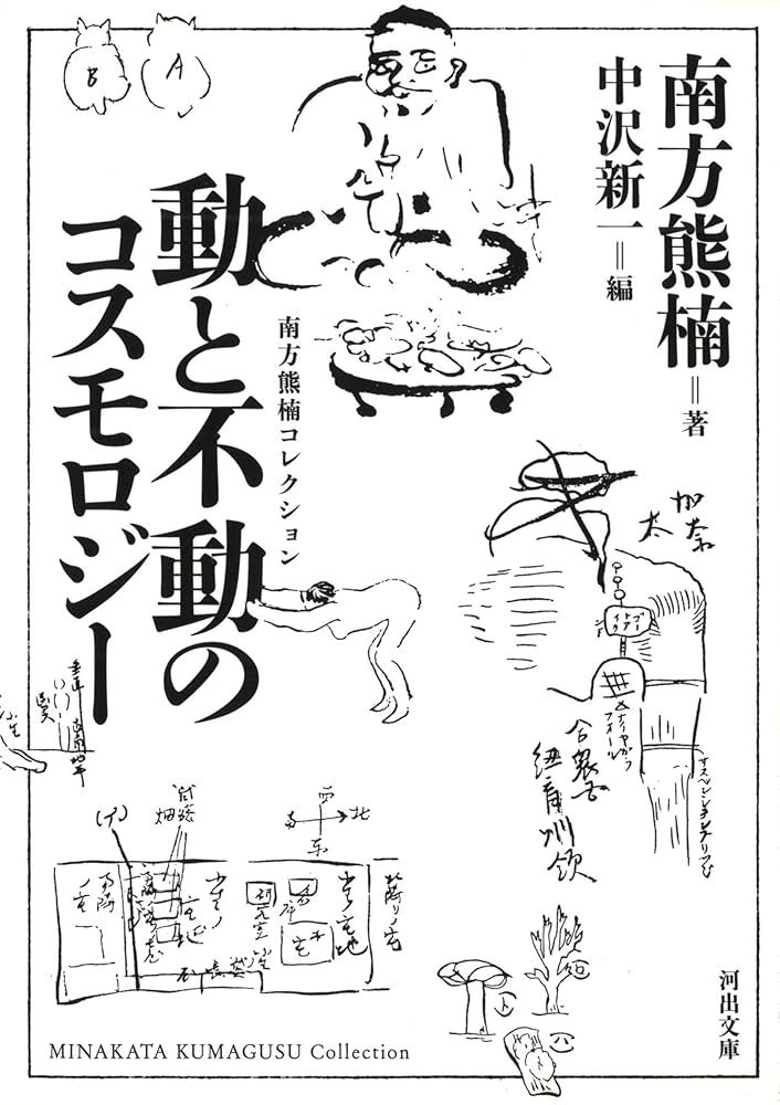 Amazon.co.jp: 動と不動のコスモロジー (河出文庫 み 2-4 南方