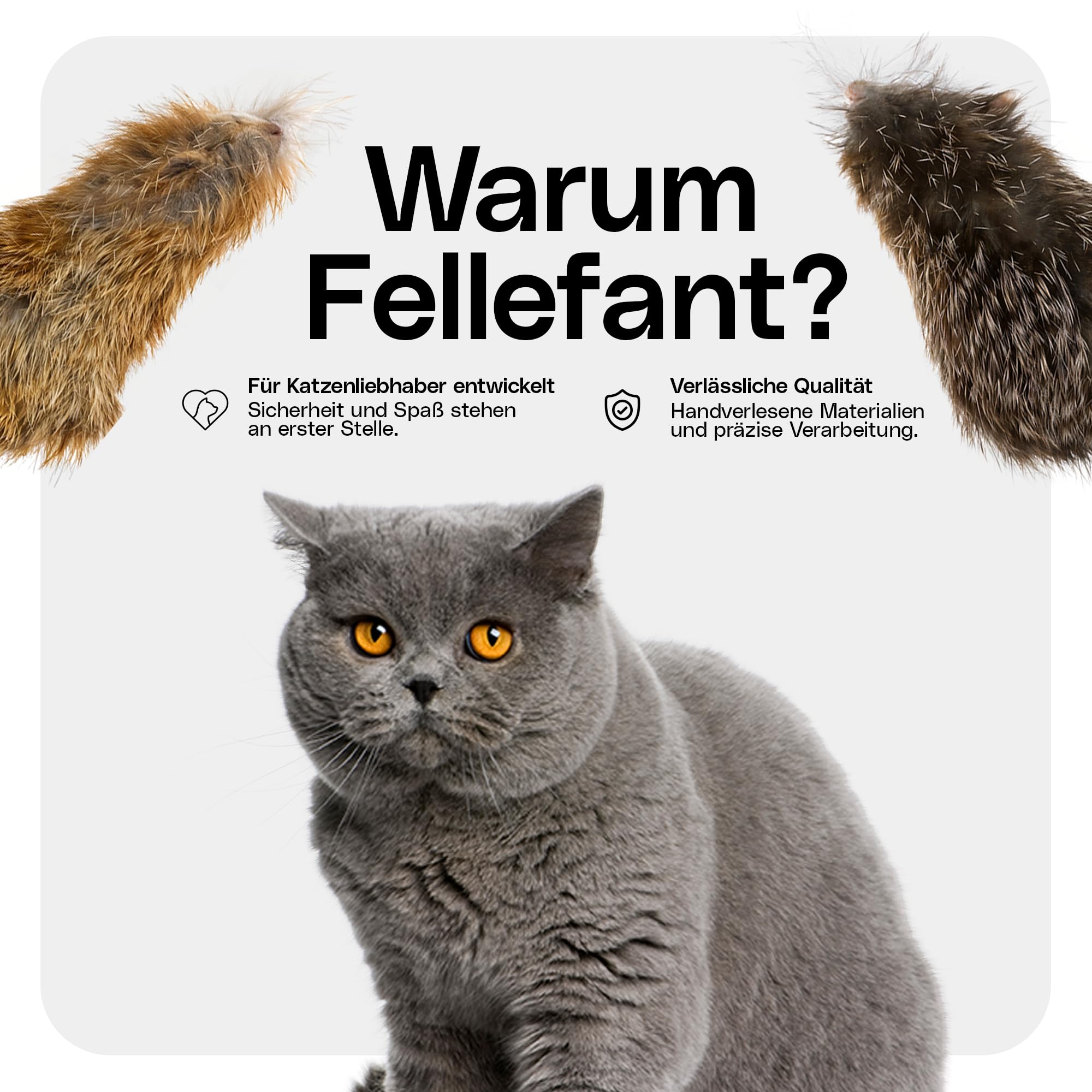 Juguete para gatos de auténtica piel de conejo – Juego de 2 – perfecto para vivir el instinto de caza y diversión – sin ojos de plástico