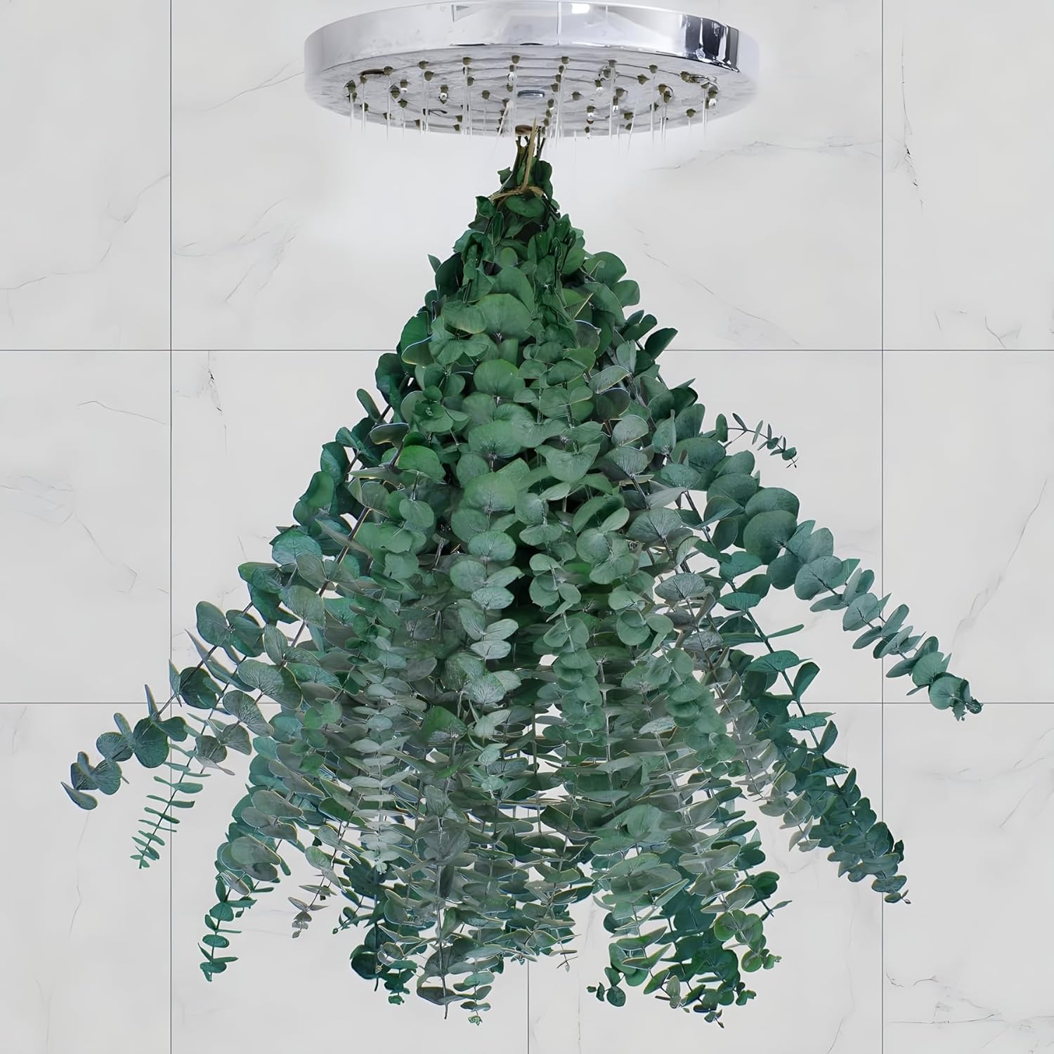 20pcs Dried Eucalyptus for Shower Real Eucalyptus Stems