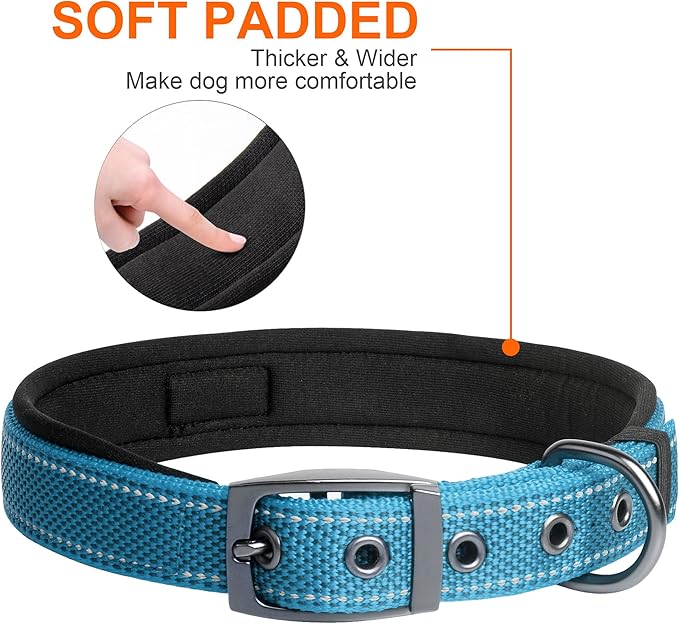 Collar Fida para perro pequeño neopreno acolchado reflectante azul talla S miniatura 4