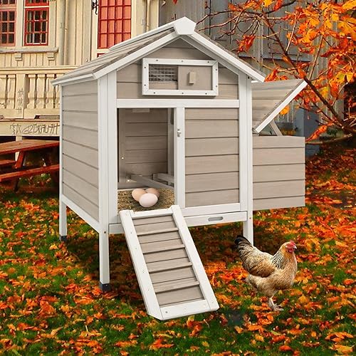 Chicken Coop Chicken House Outdoor with Removable Trays, Wooden Rabbit