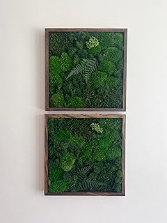 Moss Wall Art | Preserved Moss Art Framed | Square Frame | Green Moss Pole Moss with Preserved Fern and Flowers (Single, Maple)