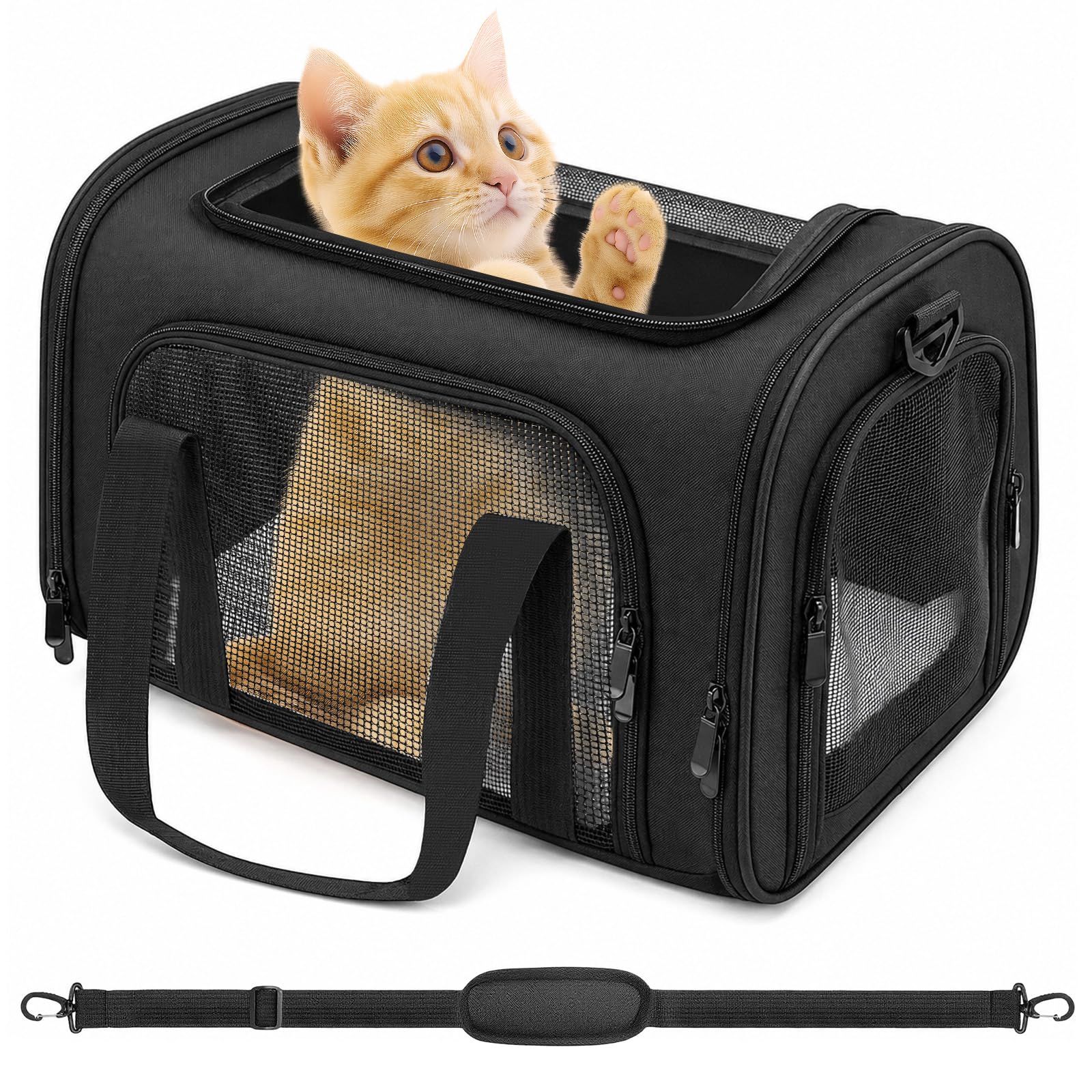 Transporttasche für Katze Hund Hundetransportbox Faltbare Katzentransportbox für Katzen und Welpen bis 5kg mit Schultergurt für Mittel Kleine Haustiere wie Kätzchen Welpen Kaninchen usw (Schwarz)