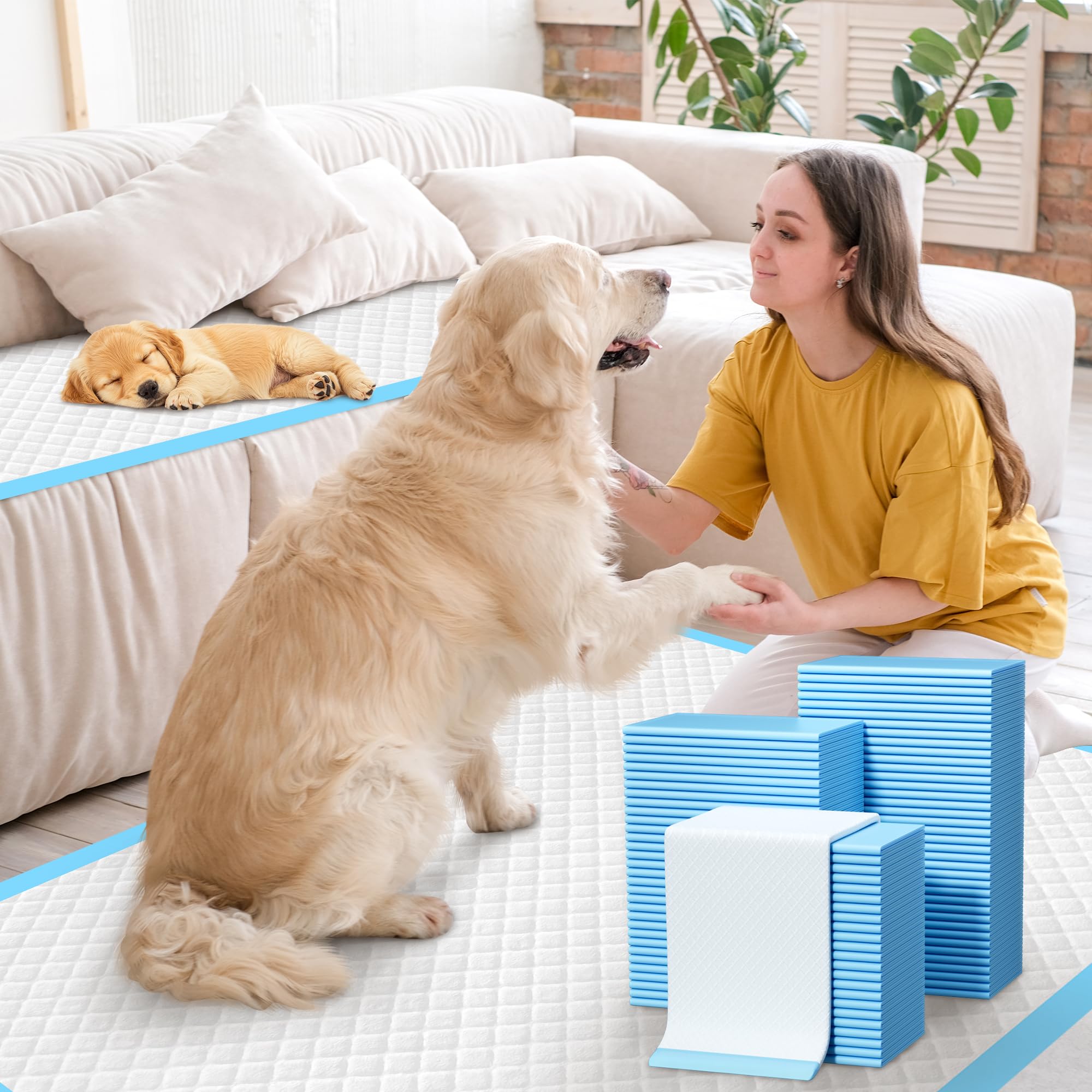 60 almohadillas para orina de perro, extragrandes, 28 x 34 pulgadas, súper absorbentes, almohadillas desechables para entrenamiento de perros, de secado rápido y a prueba de fugas, para perros,