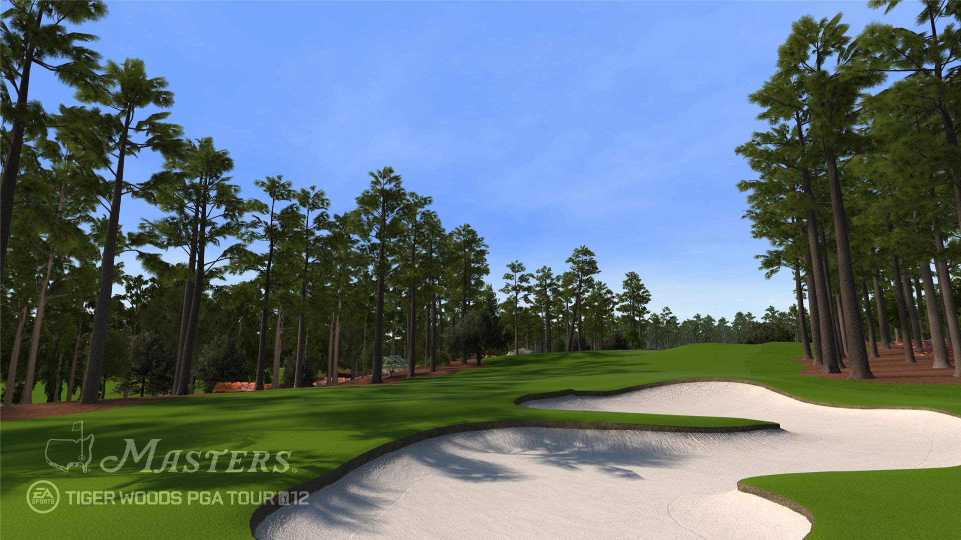 Amazon.com: Tiger Woods PGA TOUR 12: Collectors Edition