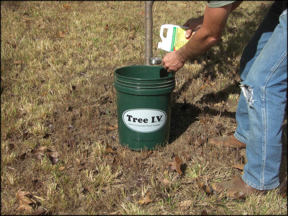 6pk Tree IV Root Watering System for New Trees & Plants StandAlone