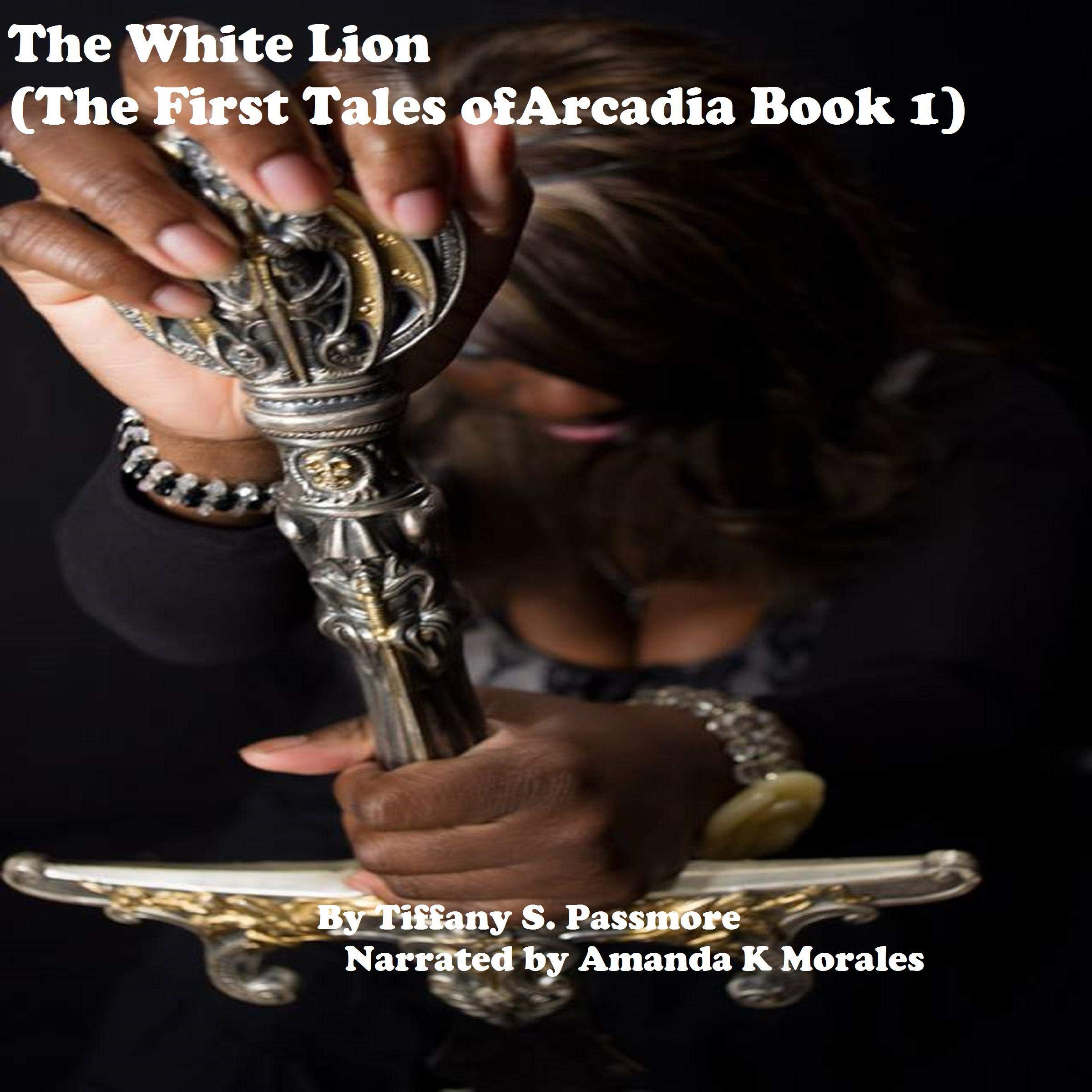 Cover art for The White Lion