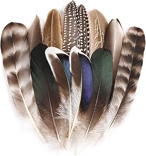 MehelloFeather Natural Pheasant Feathers 12Pcs Bulk Feathers 6 Style for...