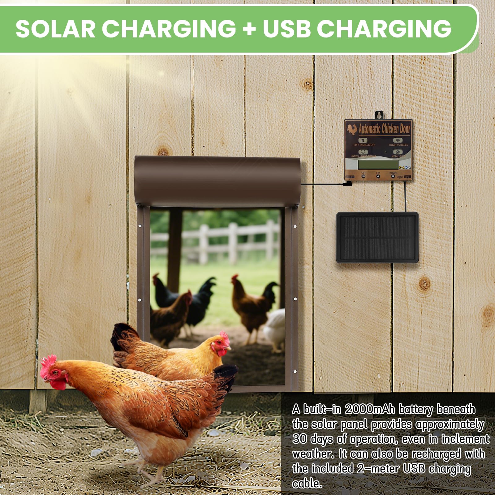 Batería automática de gallina, Puerta de Pollo eléctrica automática | con temporizador, panel solar, mando a distancia, manual, protección inteligente contra pellizcos