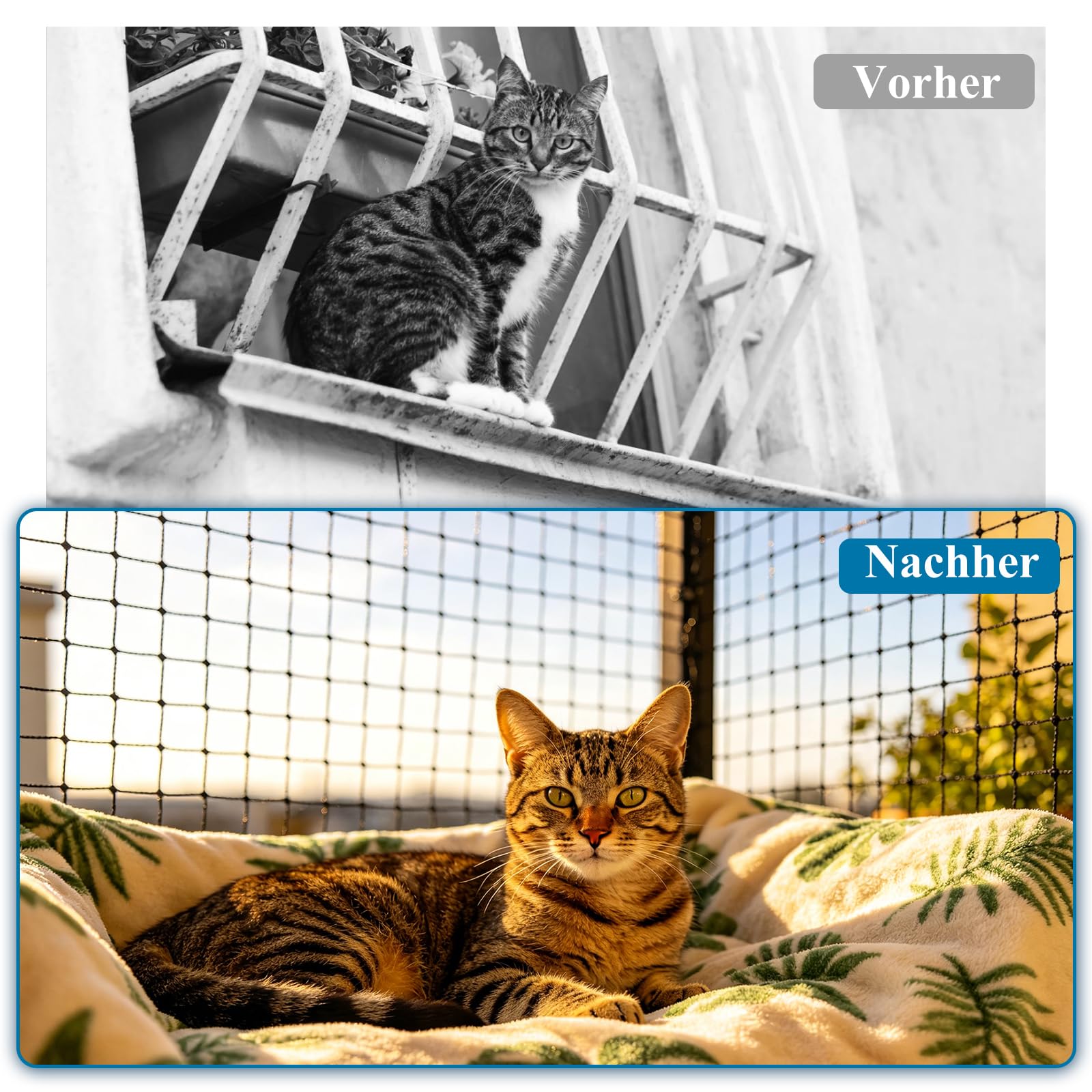 6x3m Katzennetz Drahtverstärkt für Balkon mit Montagezubehör Schwarz | Reißfest und Bissfest und alterungsbeständig durch Nylon(HDPE) und Stahldrahtmaterial, Für Balkonen Fenstern Türen Zäunen
