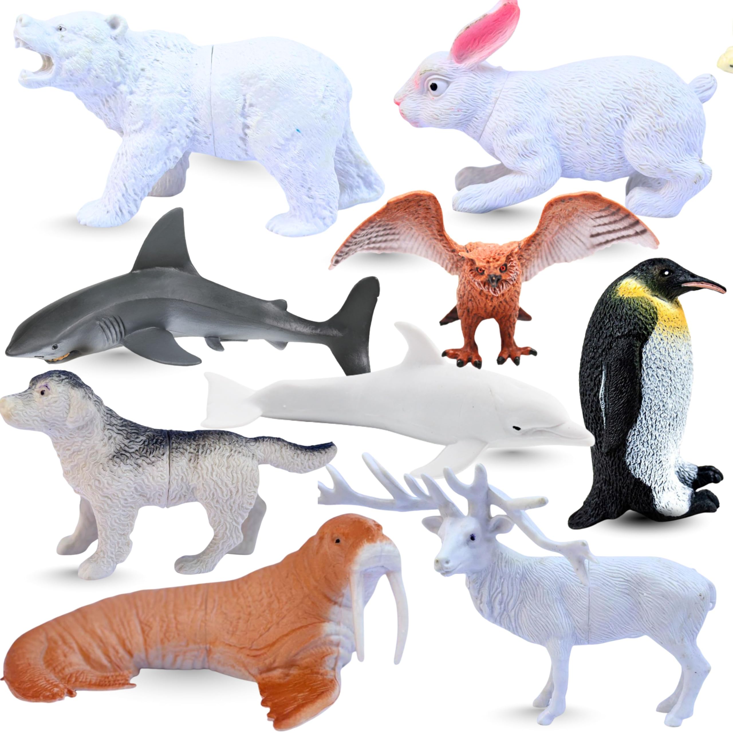 Attractive Arctic Animal Toys for Kids 3+ | Realistic 10 PCs Ocean | Jungle Animals Toy Figure for Boys and Girls Birthday Gift for Children Educational & Decor Item Shark, Whale, Janwar Toys-picture-10