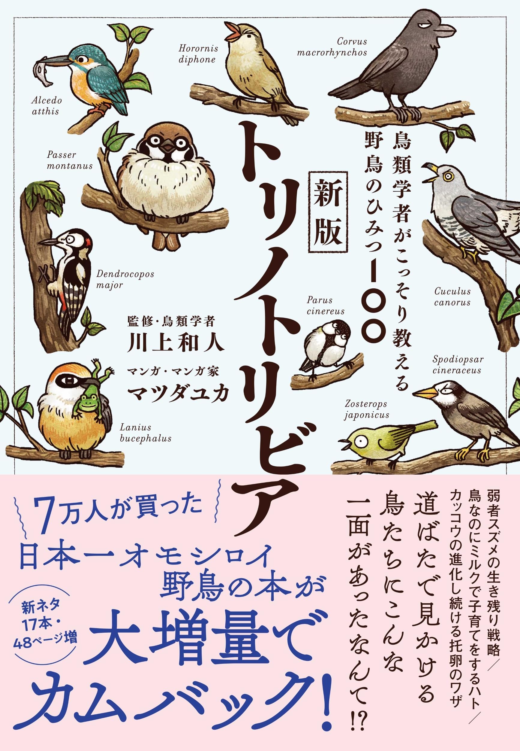 新版トリノトリビア 鳥類学者がこっそり教える野鳥のひみつ100 | 川上