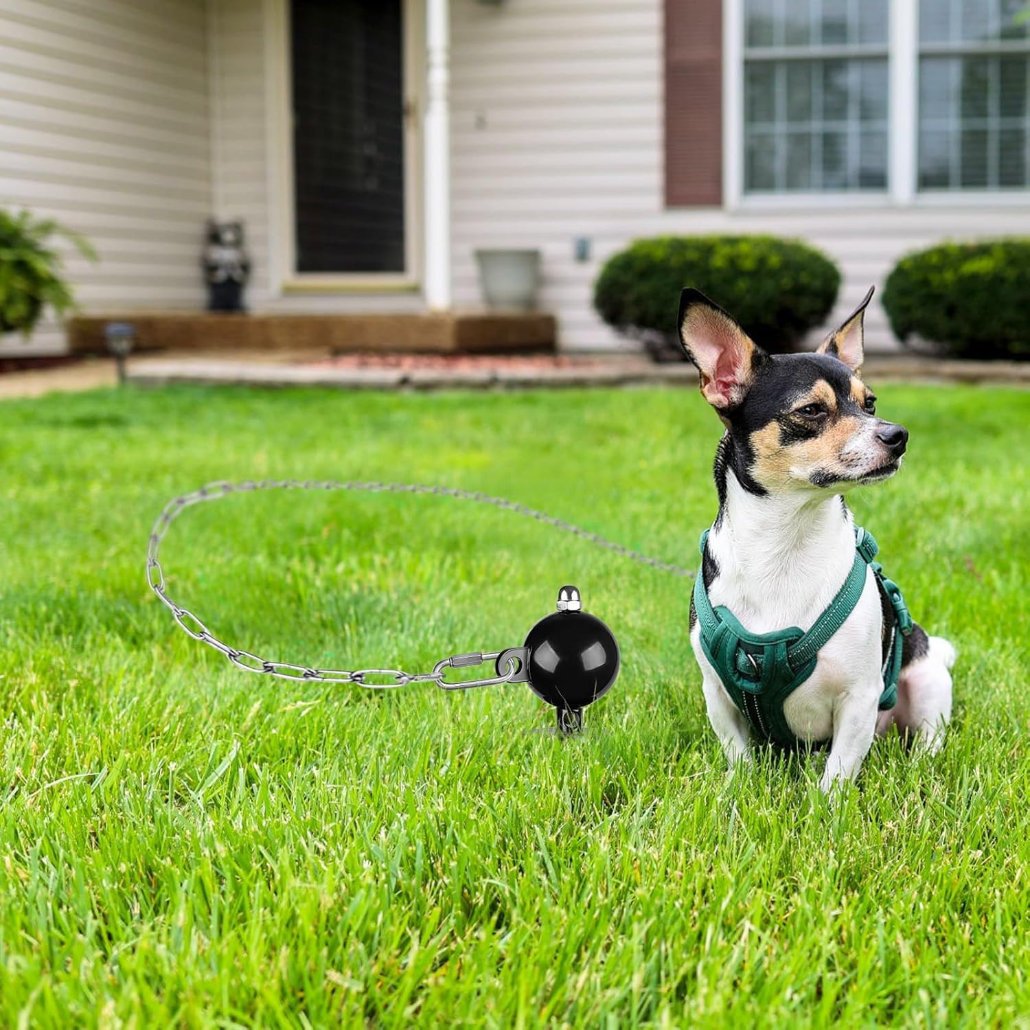SELEWARE Piquet d'attache pour Chien d'extérieur antirouille jusqu'à 100 kg, Rotation Libre, Tige torsadée