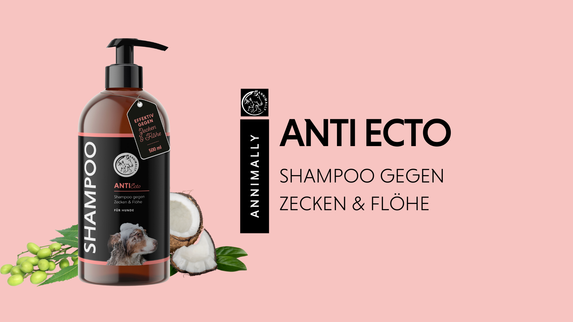 crema de aloe vera NutrAloe Aloe Vera Creme Gesicht & Krper