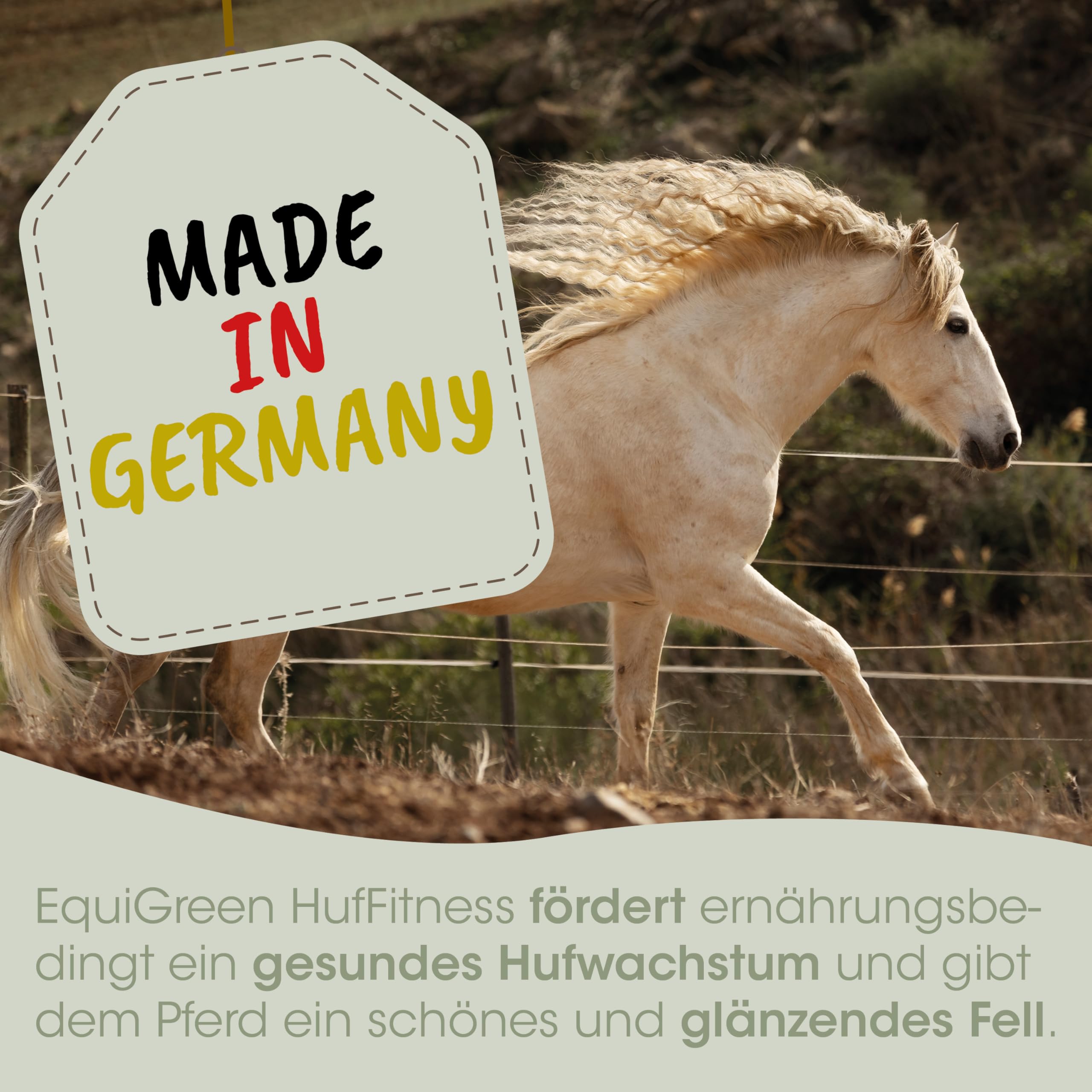 cdVet Naturprodukte EquiGreen Peñuña Fitness 20 kg - Caballos - Crecimiento Saludable de pezuña - Hierbas valiosas + vitaminas vitales + minerales - Hermoso + Brillante - Piel Salud -
