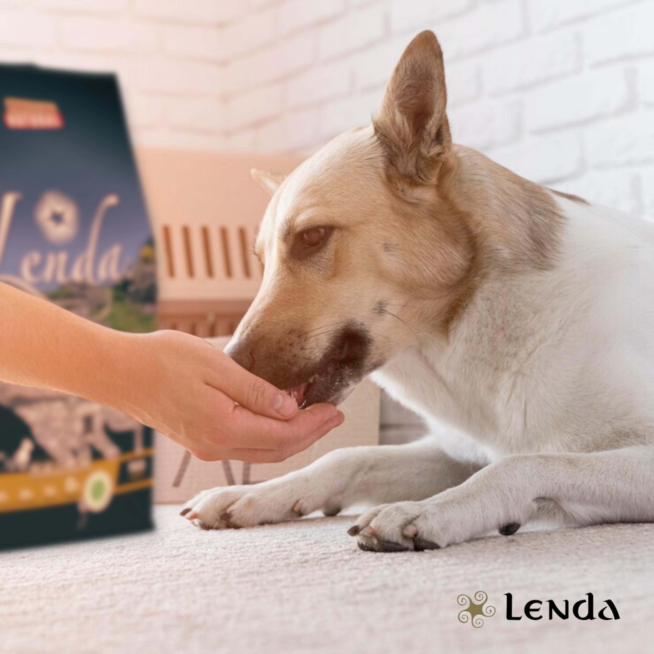 Lenda Pavo 12Kg - Pienso Hipoalergénico para Perros Jóvenes y Adultos con Alergias o Intolerancias | Comida para Perros Rica en Pavo | Pienso para Perro Natural y SIN Cereales