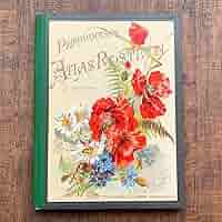 植物図鑑　洋書　チェコ植物図鑑　ボタニカルアート 植物図鑑 洋書 チェコ植物図鑑 ボタニカルアート チェコ 植物