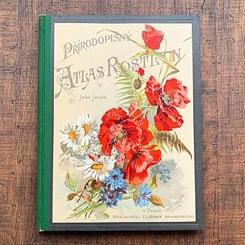 Amazon.co.jp: [1898年]チェコの古い植物図鑑/アンティーク