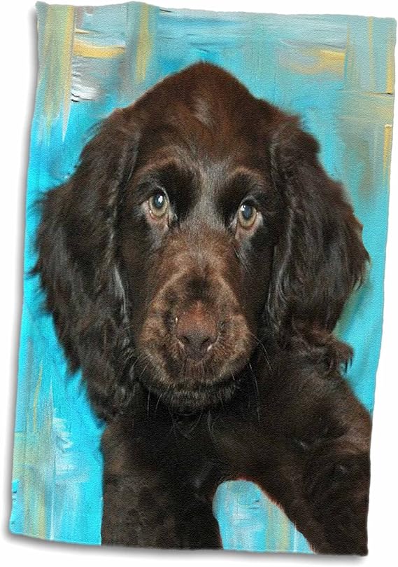 Amazon 3dローズ犬ボイキン スパニエル Boykin Spaniel Puppy タオル 15 X 22 Twl 4433 1 ハンドタオル ホーム キッチン オンライン通販