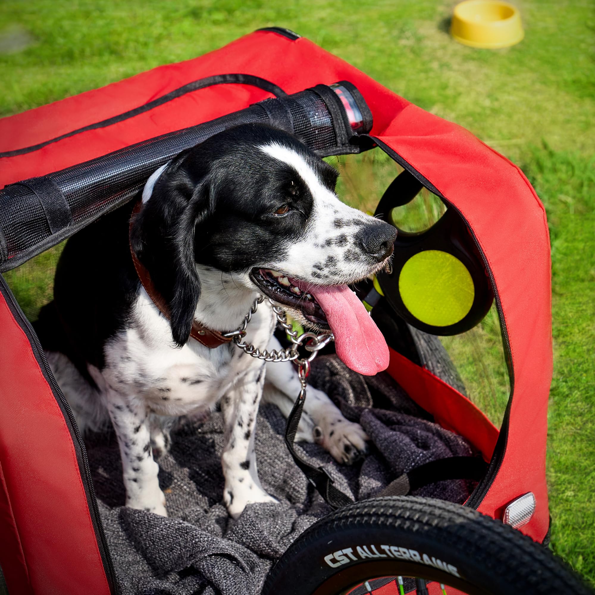 Remolque para bicicleta para perros, con resorte, incluye bandera, adecuado para perros grandes y medianos