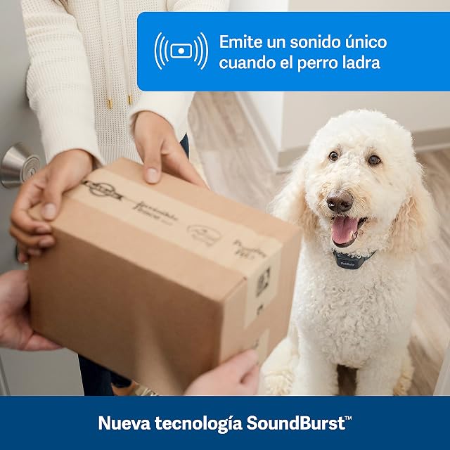 Foto 2 de 8 de PetSafe - Collar Antiladridos Audible para Perros, 10 Niveles de Estimulación Segura, Recargable y Sumergible