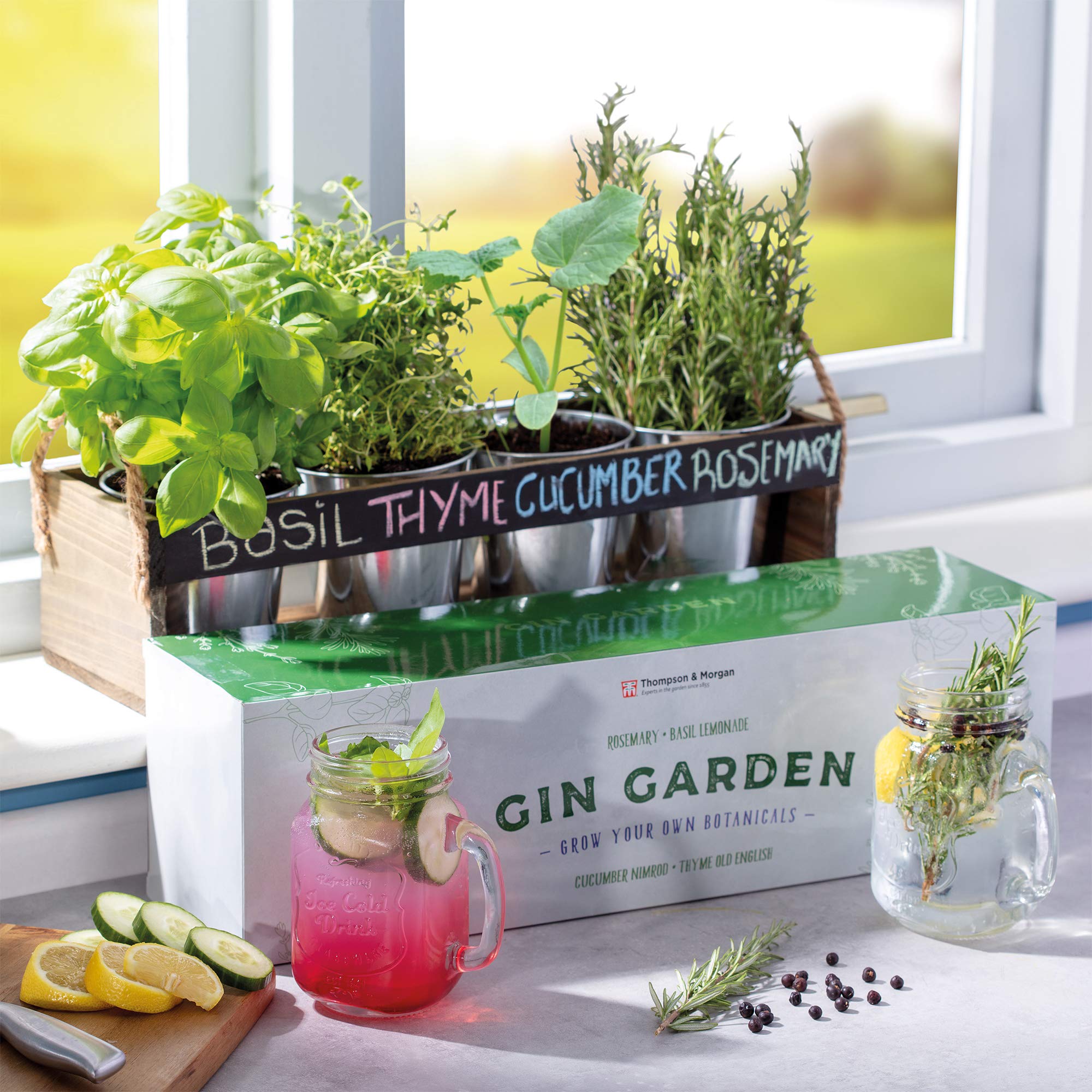 THOMPSON & MORGAN Gin jardín Tablero de Tiza de la Hierba de ...