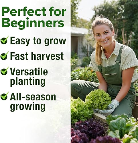 Miniatura 425 de HOME GROWN 12 semillas de vegetales de otoño, más de 6,000 semillas de reliquia para plantar en otoño e invierno, remolacha, brócoli, repollo, col