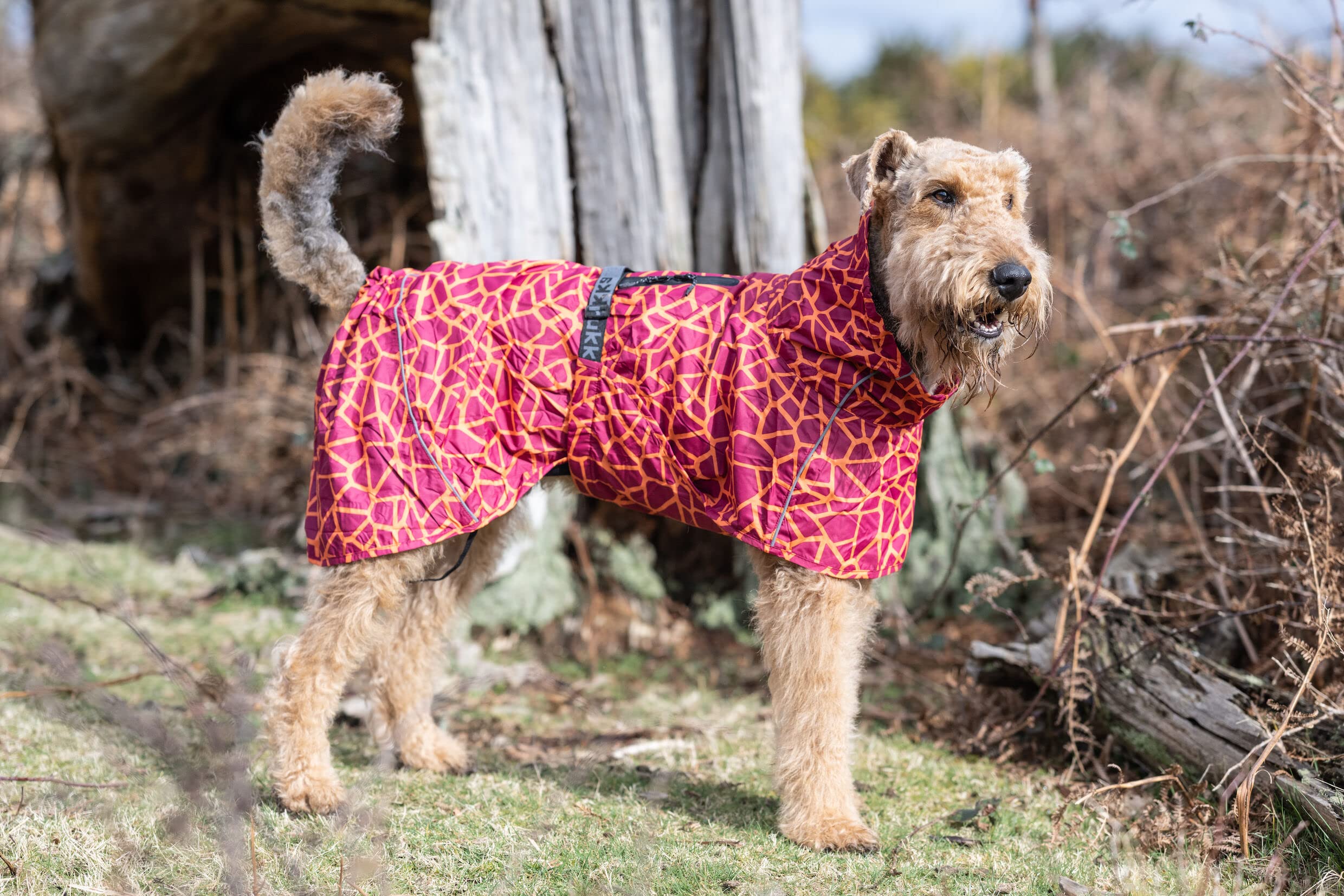 Rukka Pets HAYTON - Chubasquero para perros, color rojo carmesí 60